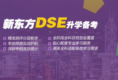 深圳新东方HKDSE辅导班
