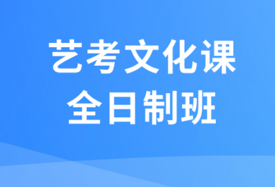 天津锐思艺考文化课全日制班