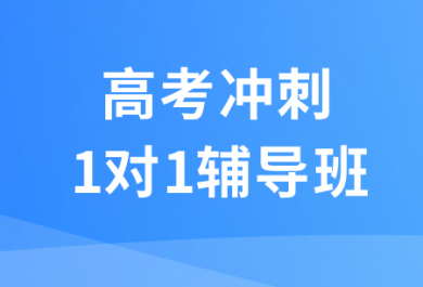 天津锐思高考冲刺一对一辅导班