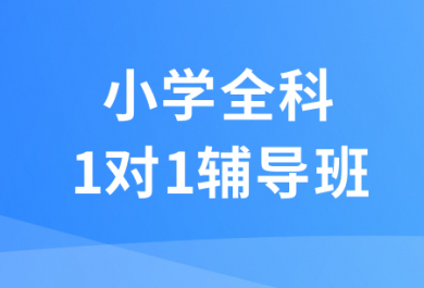 石家庄锐满分小学全科一对一补习班