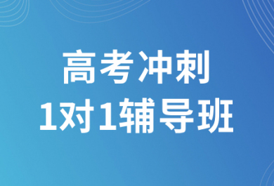 泸州翰林高考冲刺一对一补习班