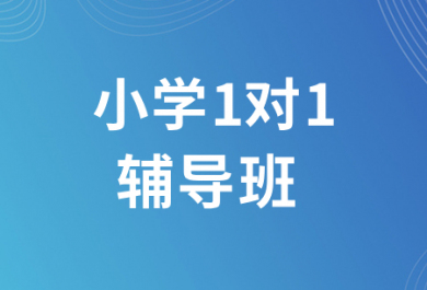 泸州翰林小学全科一对一补习班
