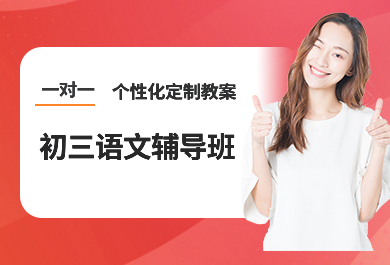天津京督初三语文一对一补课班