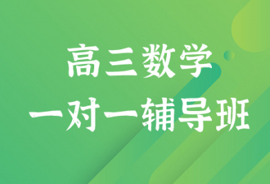 深圳有道领世高三数学一对一培训班