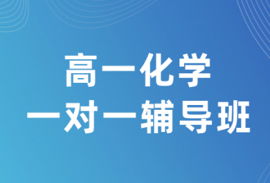 深圳有道领世高一化学一对一补习班