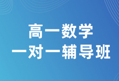 深圳有道领世高一数学一对一补习班