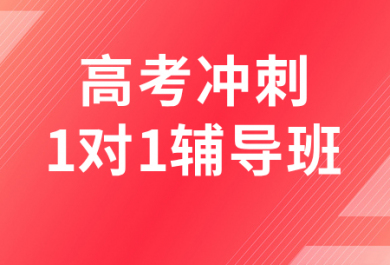 遵义金东方高考冲刺一对一辅导班