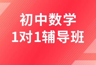遵义金东方初中数学一对一补课班