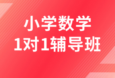 遵义金东方小学数学一对一补习班