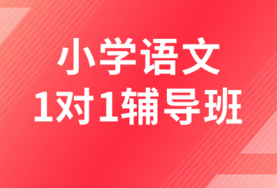 遵义金东方小学语文一对一辅导班