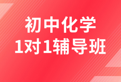重庆金东方初中化学一对一辅导班